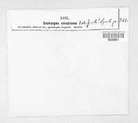 Image Associated With the Occurence